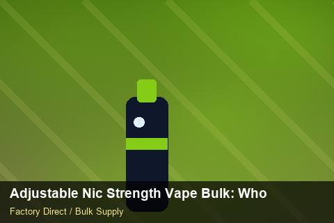 Adjustable Nic Strength Vape Bulk — Adjustable Nic Strength Vape Bulk: Wholesale Price — for German Importers photo 1