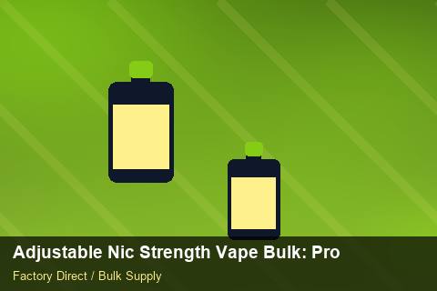 Adjustable Nic Strength Vape Bulk — Adjustable Nic Strength Vape Bulk: Procurement Strategy — for German Importers photo 1