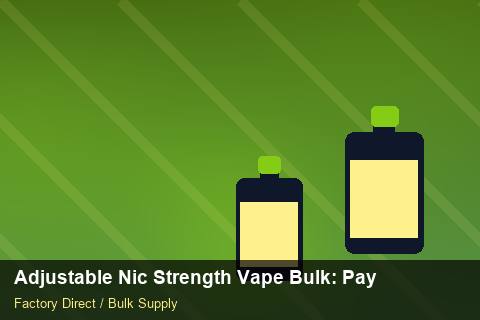 Adjustable Nic Strength Vape Bulk — Adjustable Nic Strength Vape Bulk: Payment Terms — for German Importers photo 1