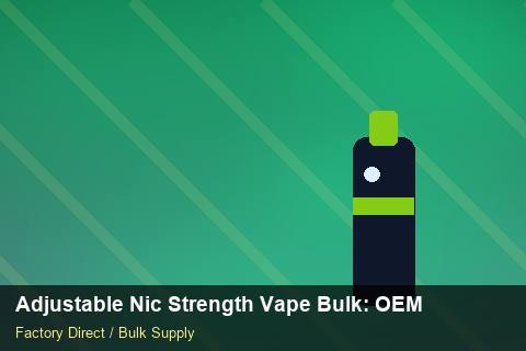 Adjustable Nic Strength Vape Bulk — Adjustable Nic Strength Vape Bulk: OEM & ODM Service — for German Importers photo 2