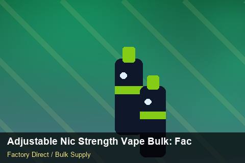 Adjustable Nic Strength Vape Bulk — Adjustable Nic Strength Vape Bulk: Factory Audit Report — for German Importers photo 2
