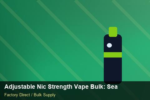 Adjustable Nic Strength Vape Bulk — Adjustable Nic Strength Vape Bulk: Seasonal Planning — for German Importers photo 2