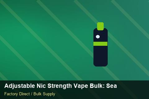 Adjustable Nic Strength Vape Bulk — Adjustable Nic Strength Vape Bulk: Seasonal Planning — for US Distributors photo 2
