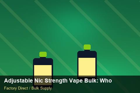 Adjustable Nic Strength Vape Bulk — Adjustable Nic Strength Vape Bulk: Wholesale Price — for EU Chains photo 2