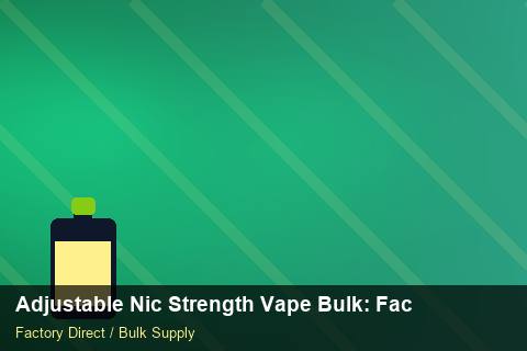Adjustable Nic Strength Vape Bulk — Adjustable Nic Strength Vape Bulk: Factory Direct Quote — for EU Chains photo 1