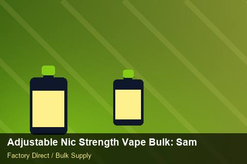 Adjustable Nic Strength Vape Bulk — Adjustable Nic Strength Vape Bulk: Sample Policy — for EU Chains photo 2