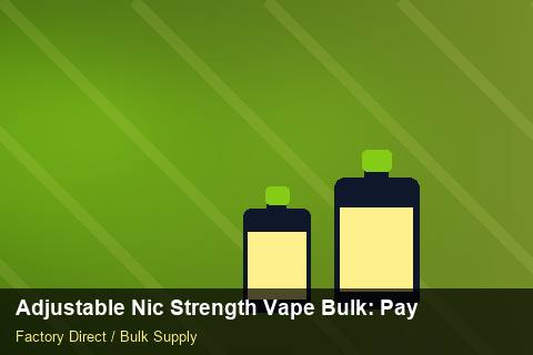 Adjustable Nic Strength Vape Bulk — Adjustable Nic Strength Vape Bulk: Payment Terms — for EU Chains photo 1