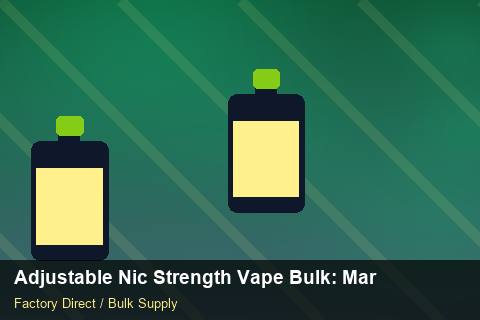 Adjustable Nic Strength Vape Bulk — Adjustable Nic Strength Vape Bulk: Market Trends 2026 — for EU Chains photo 1