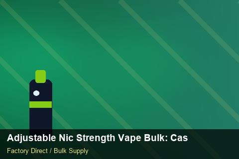 Adjustable Nic Strength Vape Bulk — Adjustable Nic Strength Vape Bulk: Case Studies — for EU Chains photo 1