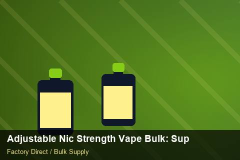 Adjustable Nic Strength Vape Bulk — Adjustable Nic Strength Vape Bulk: Supplier Vetting — for EU Chains photo 2