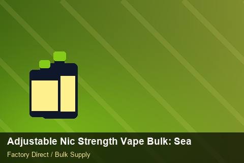 Adjustable Nic Strength Vape Bulk — Adjustable Nic Strength Vape Bulk: Seasonal Planning — for EU Chains photo 1