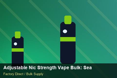 Adjustable Nic Strength Vape Bulk — Adjustable Nic Strength Vape Bulk: Seasonal Planning — for EU Chains photo 2