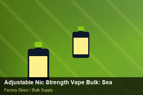 Adjustable Nic Strength Vape Bulk — Adjustable Nic Strength Vape Bulk: Seasonal Planning — Step-by-Step photo 1
