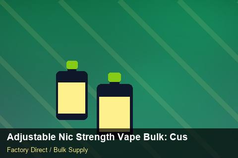 Adjustable Nic Strength Vape Bulk — Adjustable Nic Strength Vape Bulk: Customs Documentation — Checklist photo 2