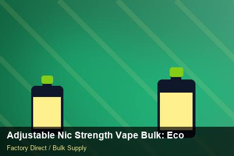 Adjustable Nic Strength Vape Bulk — Adjustable Nic Strength Vape Bulk: Eco-Friendly Materials — Checklist photo 1