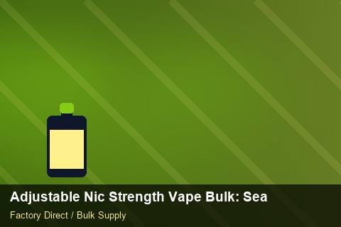 Adjustable Nic Strength Vape Bulk — Adjustable Nic Strength Vape Bulk: Seasonal Planning — Checklist photo 1