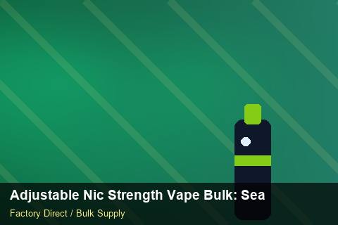 Adjustable Nic Strength Vape Bulk — Adjustable Nic Strength Vape Bulk: Seasonal Planning — Checklist photo 2