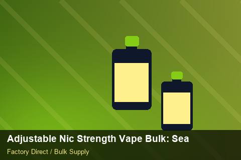 Adjustable Nic Strength Vape Bulk — Adjustable Nic Strength Vape Bulk: Seasonal Planning — vs Competitors photo 1