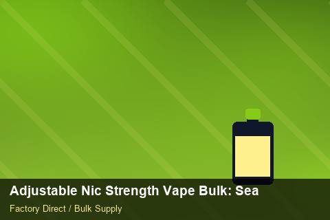 Adjustable Nic Strength Vape Bulk — Adjustable Nic Strength Vape Bulk: Seasonal Planning — 2026 Update photo 1