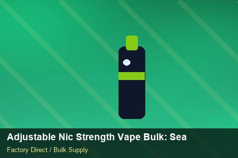Adjustable Nic Strength Vape Bulk — Adjustable Nic Strength Vape Bulk: Seasonal Planning — 2026 Update photo 2