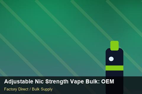 Adjustable Nic Strength Vape Bulk — Adjustable Nic Strength Vape Bulk: OEM & ODM Service — Beginner Notes photo 2