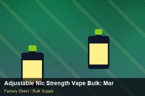 Adjustable Nic Strength Vape Bulk — Adjustable Nic Strength Vape Bulk: Margin Calculator — Beginner Notes photo 1