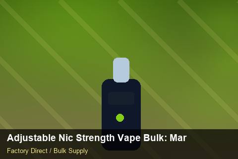 Adjustable Nic Strength Vape Bulk — Adjustable Nic Strength Vape Bulk: Margin Calculator — Beginner Notes photo 2