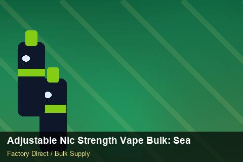 Adjustable Nic Strength Vape Bulk — Adjustable Nic Strength Vape Bulk: Seasonal Planning — Beginner Notes photo 2