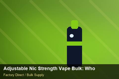 Adjustable Nic Strength Vape Bulk — Adjustable Nic Strength Vape Bulk: Wholesale Price — Case Study photo 1