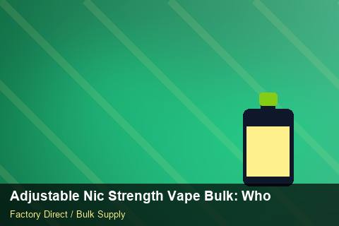 Adjustable Nic Strength Vape Bulk — Adjustable Nic Strength Vape Bulk: Wholesale Price — Case Study photo 2