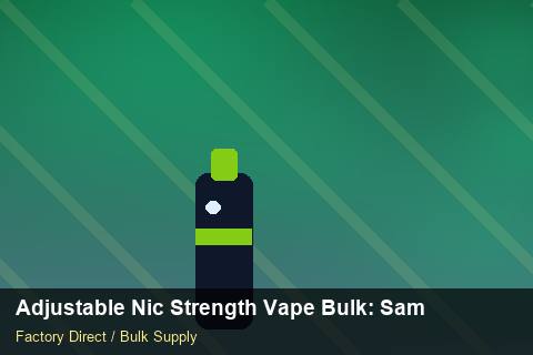 Adjustable Nic Strength Vape Bulk — Adjustable Nic Strength Vape Bulk: Sample Policy — Case Study photo 1