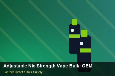 Adjustable Nic Strength Vape Bulk — Adjustable Nic Strength Vape Bulk: OEM & ODM Service — Case Study photo 2