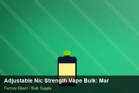 Adjustable Nic Strength Vape Bulk — Adjustable Nic Strength Vape Bulk: Margin Calculator — Case Study photo 1