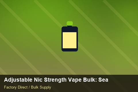 Adjustable Nic Strength Vape Bulk — Adjustable Nic Strength Vape Bulk: Seasonal Planning — Case Study photo 1