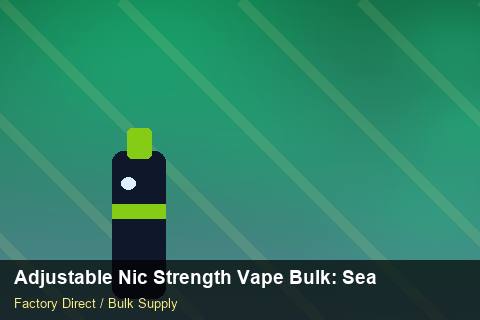 Adjustable Nic Strength Vape Bulk — Adjustable Nic Strength Vape Bulk: Seasonal Planning — Case Study photo 2
