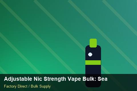 Adjustable Nic Strength Vape Bulk — Adjustable Nic Strength Vape Bulk: Seasonal Planning — Price per Unit photo 2