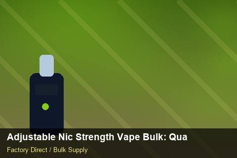 Adjustable Nic Strength Vape Bulk — Adjustable Nic Strength Vape Bulk: Quality Inspection Checklist — Carton Quantities photo 1
