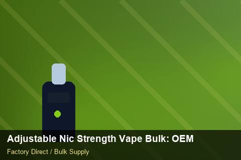 Adjustable Nic Strength Vape Bulk — Adjustable Nic Strength Vape Bulk: OEM & ODM Service — Carton Quantities photo 1