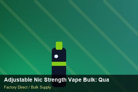 Adjustable Nic Strength Vape Bulk — Adjustable Nic Strength Vape Bulk: Quality Control Process — Carton Quantities photo 1