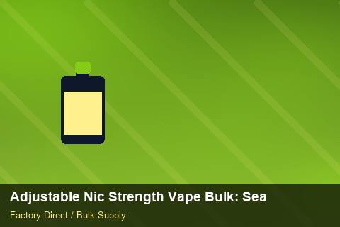 Adjustable Nic Strength Vape Bulk — Adjustable Nic Strength Vape Bulk: Seasonal Planning — Carton Quantities photo 1