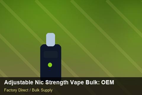 Adjustable Nic Strength Vape Bulk — Adjustable Nic Strength Vape Bulk: OEM & ODM Service — Flavour Selection photo 1