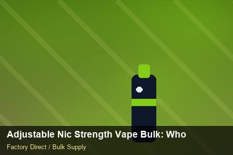 Adjustable Nic Strength Vape Bulk — Adjustable Nic Strength Vape Bulk: Wholesale Price — Battery Specs photo 1