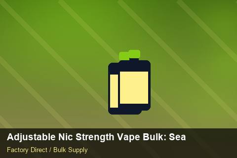 Adjustable Nic Strength Vape Bulk — Adjustable Nic Strength Vape Bulk: Seasonal Planning — Coil Options photo 1