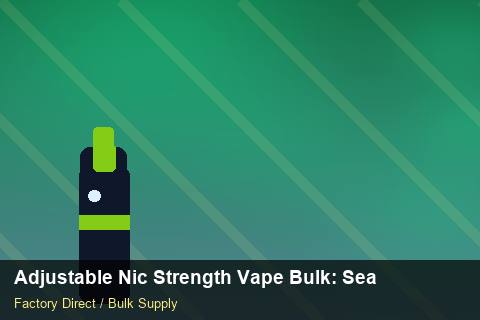 Adjustable Nic Strength Vape Bulk — Adjustable Nic Strength Vape Bulk: Seasonal Planning — Coil Options photo 2