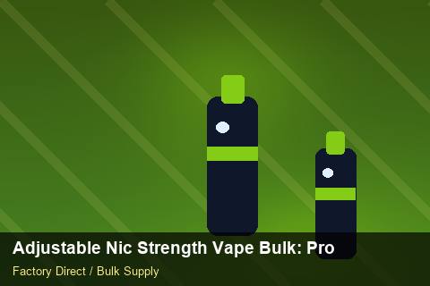 Adjustable Nic Strength Vape Bulk — Adjustable Nic Strength Vape Bulk: Product Launch Playbook — Coil Options photo 2