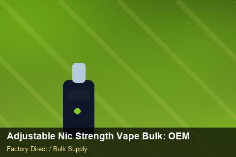 Adjustable Nic Strength Vape Bulk — Adjustable Nic Strength Vape Bulk: OEM & ODM Service — Nicotine Strengths photo 1
