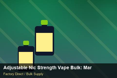 Adjustable Nic Strength Vape Bulk — Adjustable Nic Strength Vape Bulk: Market Trends 2026 — Packaging Choices photo 1