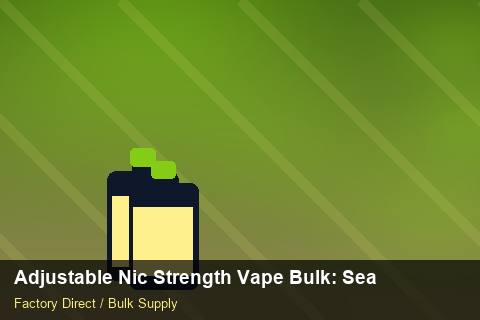 Adjustable Nic Strength Vape Bulk — Adjustable Nic Strength Vape Bulk: Seasonal Planning — Import Licence photo 1