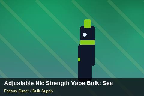 Adjustable Nic Strength Vape Bulk — Adjustable Nic Strength Vape Bulk: Seasonal Planning — Import Licence photo 2