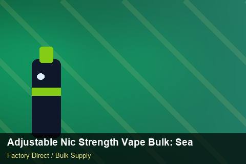 Adjustable Nic Strength Vape Bulk — Adjustable Nic Strength Vape Bulk: Seasonal Planning — Shelf Life photo 2